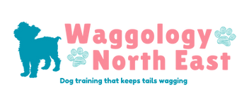 WNE Banner Socials_pdf (2)